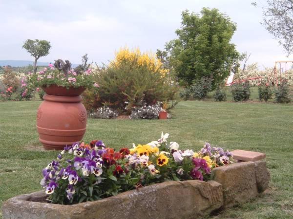Agriturismo I Romiti Кастільйоне-дель-Лаго Екстер'єр фото