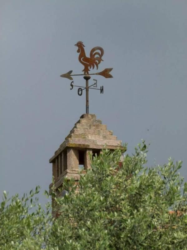 Agriturismo I Romiti Кастільйоне-дель-Лаго Екстер'єр фото